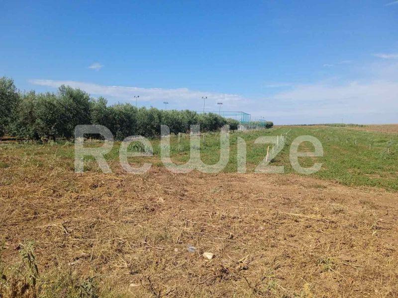 Photo 2,Τοπίο,ΠΏΛΗΣΗ,Γη,Αγροτεμάχιο,10000τ.μ,€210,000,Νέα Τρίγλια