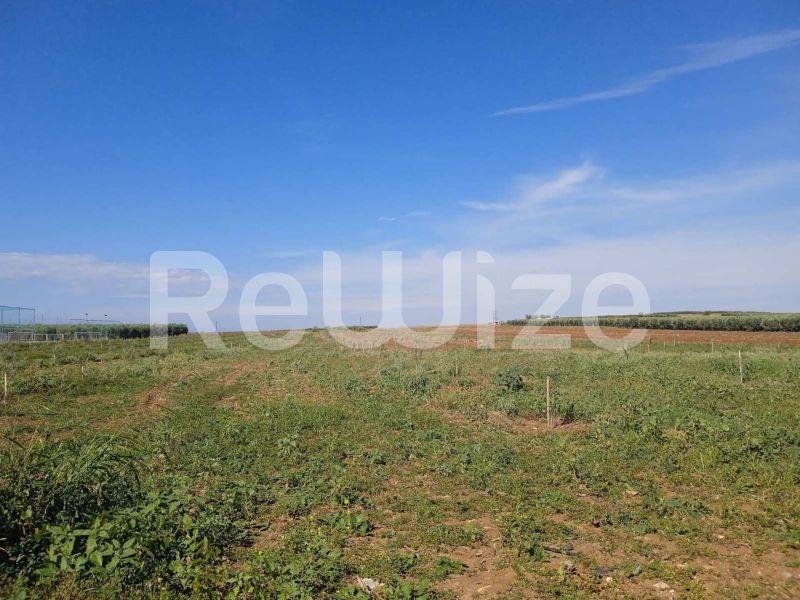 Photo 8,Τοπίο,ΠΏΛΗΣΗ,Γη,Αγροτεμάχιο,10000τ.μ,€210,000,Νέα Τρίγλια