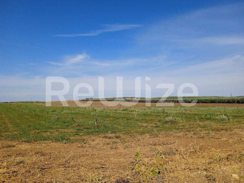 Photo 5,Τοπίο,ΠΏΛΗΣΗ,Γη,Αγροτεμάχιο,10000τ.μ,€210,000,Νέα Τρίγλια