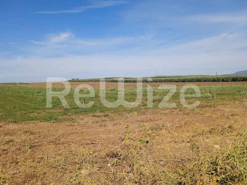 Photo 10,Τοπίο,ΠΏΛΗΣΗ,Γη,Αγροτεμάχιο,10000τ.μ,€210,000,Νέα Τρίγλια