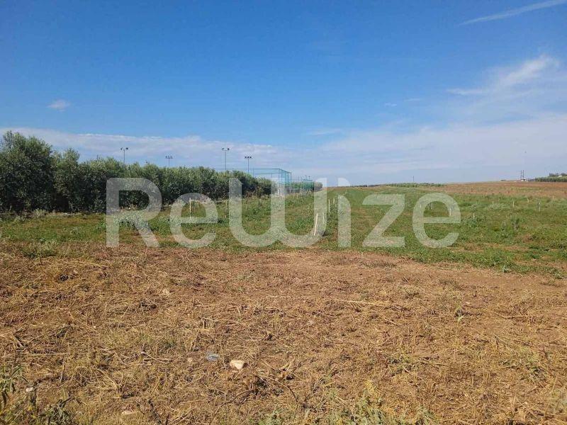 Photo 1,Τοπίο,ΠΏΛΗΣΗ,Γη,Αγροτεμάχιο,10000τ.μ,€210,000,Νέα Τρίγλια