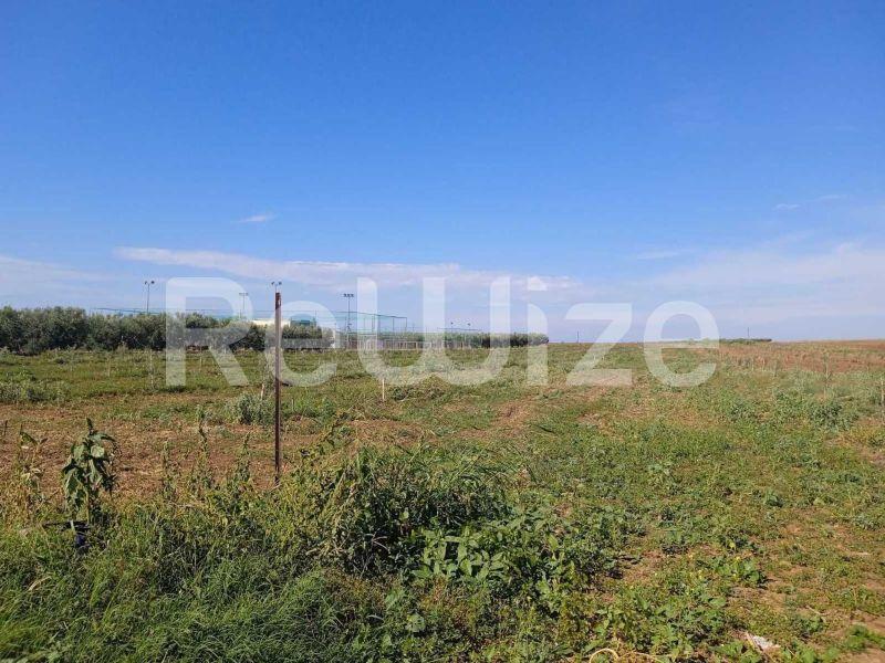 Photo 11,Τοπίο,ΠΏΛΗΣΗ,Γη,Αγροτεμάχιο,10000τ.μ,€210,000,Νέα Τρίγλια