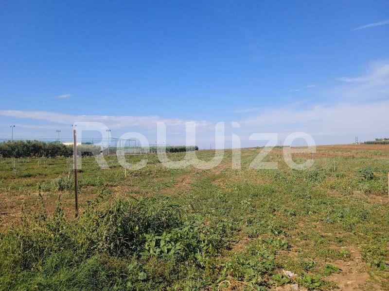 Photo 7,Τοπίο,ΠΏΛΗΣΗ,Γη,Αγροτεμάχιο,10000τ.μ,€210,000,Νέα Τρίγλια