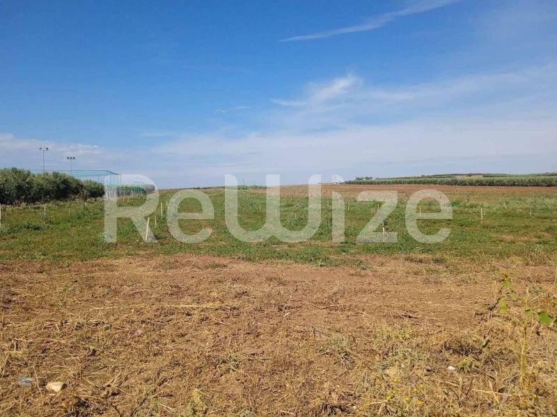 Photo 3,Τοπίο,ΠΏΛΗΣΗ,Γη,Αγροτεμάχιο,10000τ.μ,€210,000,Νέα Τρίγλια