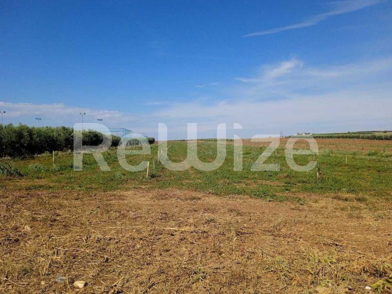 Photo 6,Τοπίο,ΠΏΛΗΣΗ,Γη,Αγροτεμάχιο,10000τ.μ,€210,000,Νέα Τρίγλια