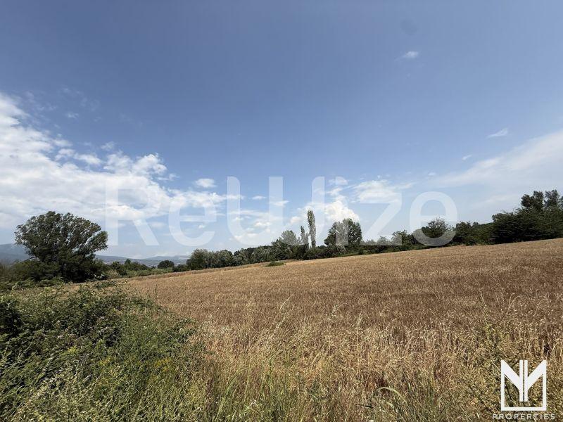 Αγροτεμάχιο 11495 τ.μ. στις Σέρρες, φωτογραφία 11