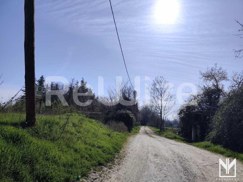 Αγροτεμάχιο 11495 τ.μ. στις Σέρρες, φωτογραφία 9