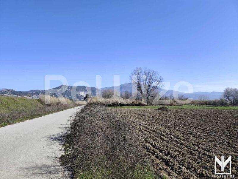 Αγροτεμάχιο 11495 τ.μ. στις Σέρρες, φωτογραφία 8