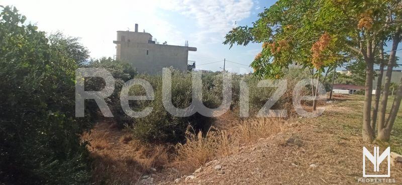 Οικόπεδο 400 τ.μ. στο Άργος-Μυκήνες, φωτογραφία 4