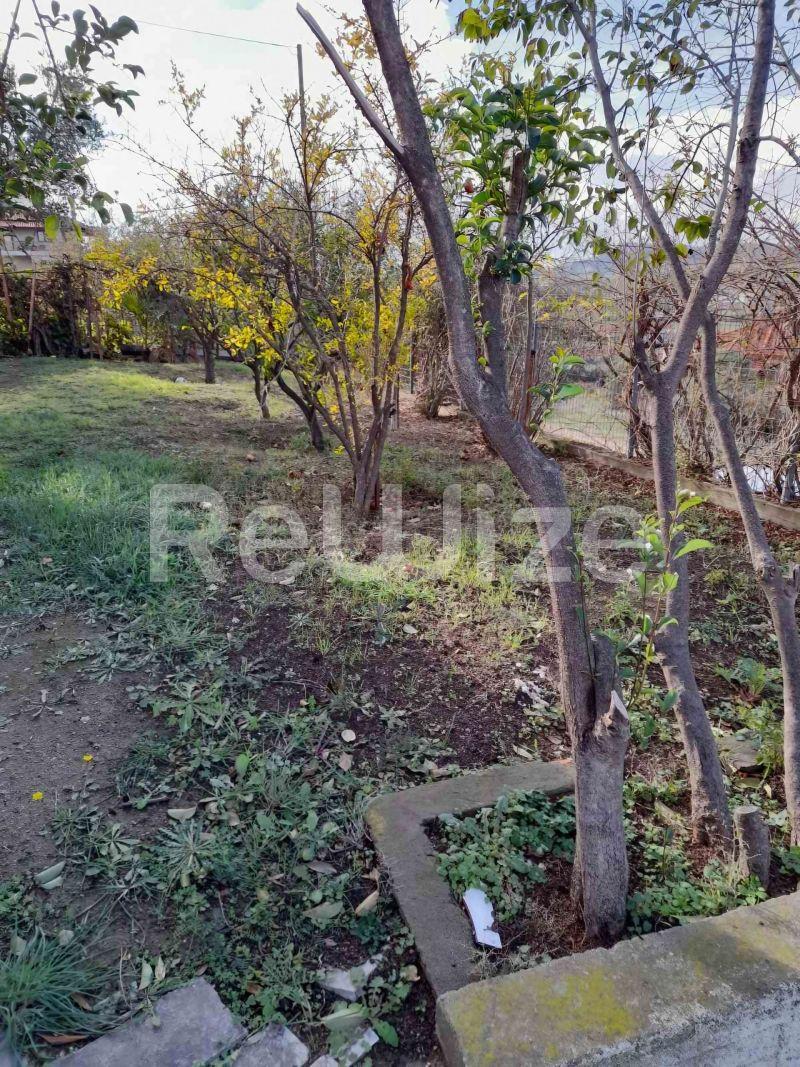Photo 24,Garden,SALE,Residency,Maisonette,160sqm,€120,000,Nea Roda