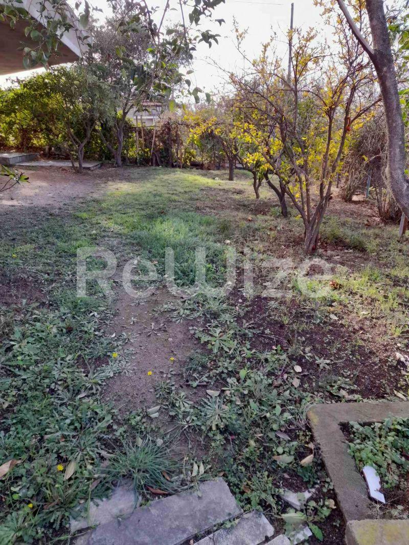 Photo 18,Garden,SALE,Residency,Maisonette,160sqm,€120,000,Nea Roda