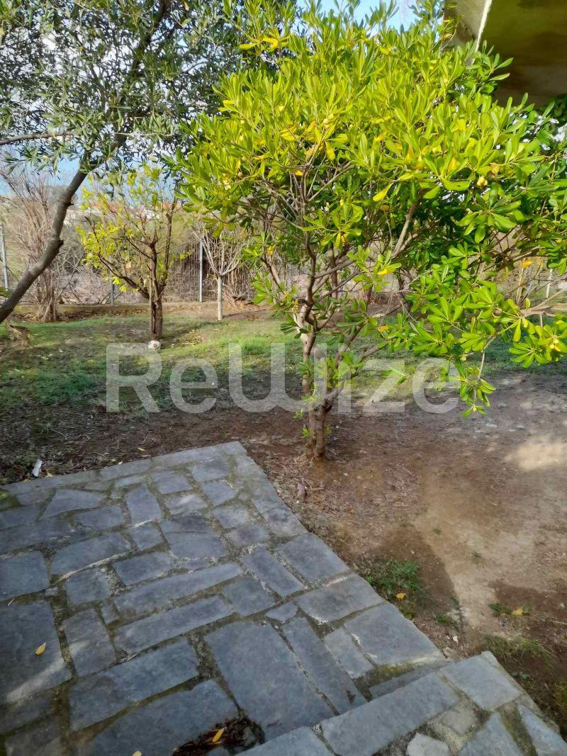 Photo 19,Garden,SALE,Residency,Maisonette,160sqm,€120,000,Nea Roda