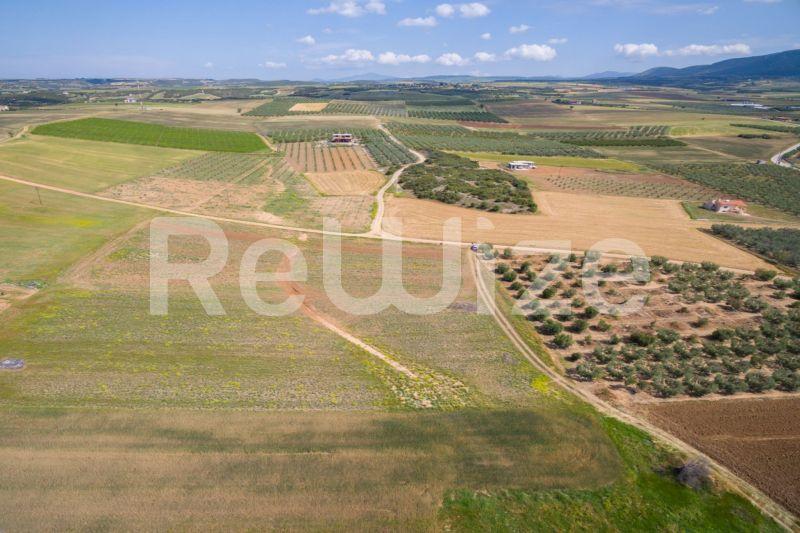 Photo 12,Landscape,SALE,Land,Field,7500sqm,€45,000,Nea Silata
