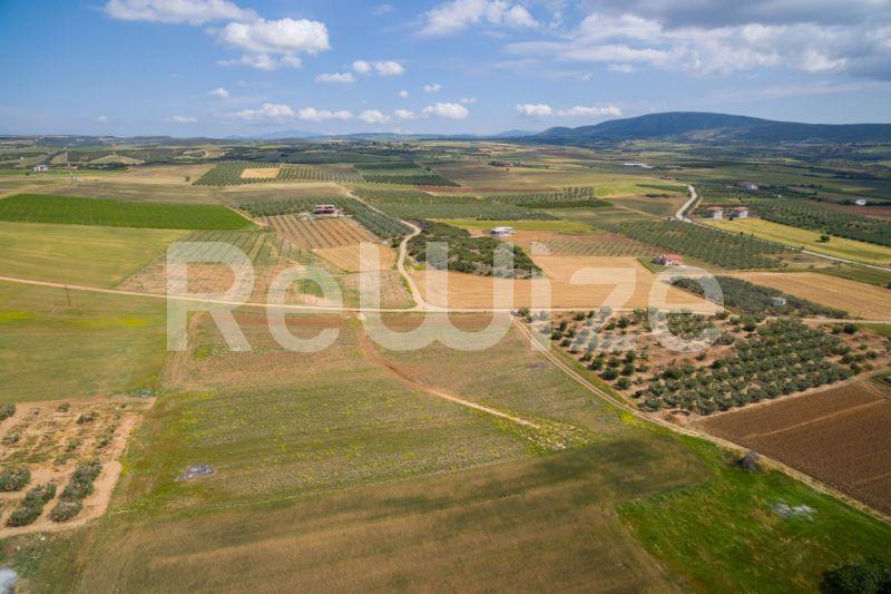 Photo 13,Landscape,SALE,Land,Field,7500sqm,€45,000,Nea Silata