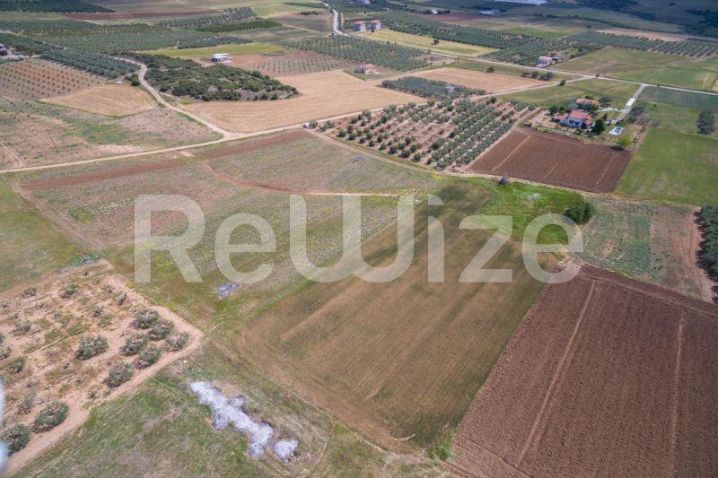 Photo 14,Landscape,SALE,Land,Field,7500sqm,€45,000,Nea Silata
