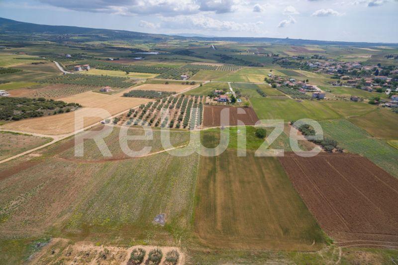 Photo 15,Landscape,SALE,Land,Field,7500sqm,€45,000,Nea Silata