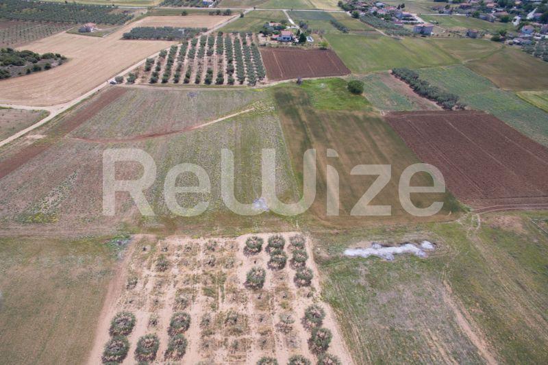 Photo 16,Landscape,SALE,Land,Field,7500sqm,€45,000,Nea Silata