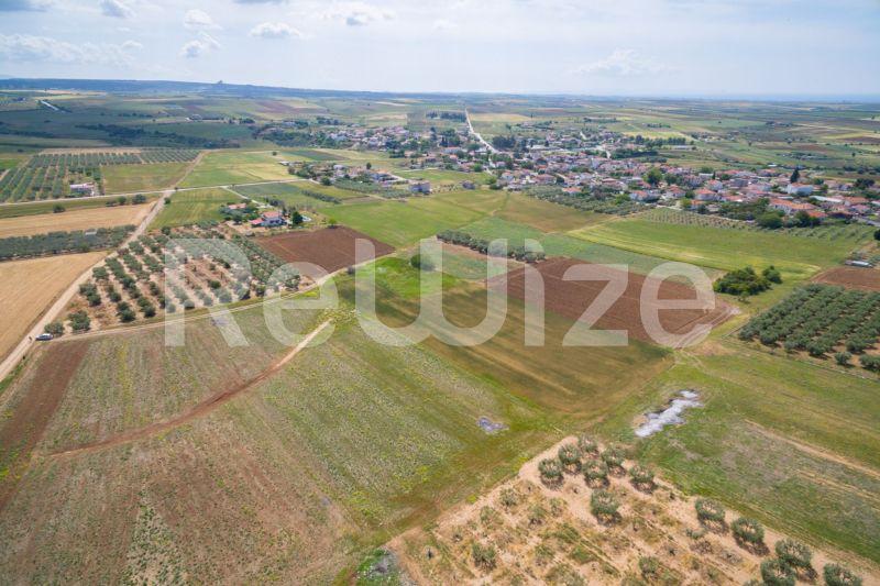 Photo 17,,SALE,Land,Field,7500sqm,€45,000,Nea Silata