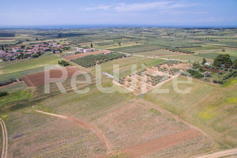 Photo 19,Landscape,SALE,Land,Field,7500sqm,€45,000,Nea Silata