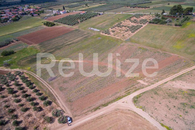 Photo 2,Landscape,SALE,Land,Field,7500sqm,€45,000,Nea Silata