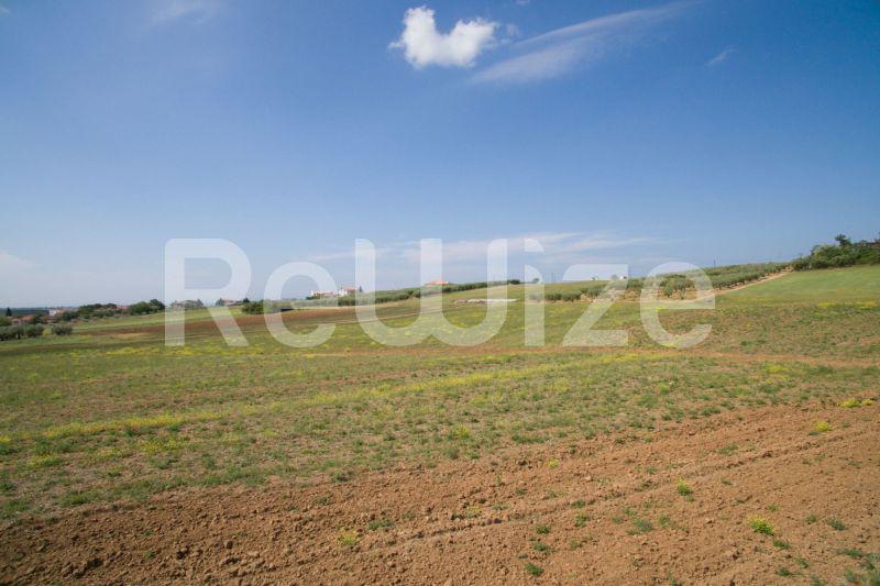 Photo 21,Landscape,SALE,Land,Field,7500sqm,€45,000,Nea Silata