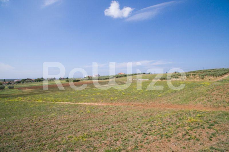Photo 23,Landscape,SALE,Land,Field,7500sqm,€45,000,Nea Silata