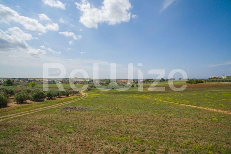 Photo 24,Landscape,SALE,Land,Field,7500sqm,€45,000,Nea Silata