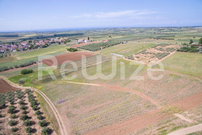 Photo 3,Landscape,SALE,Land,Field,7500sqm,€45,000,Nea Silata