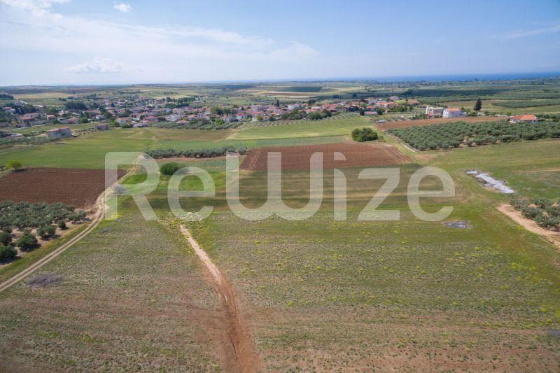 Photo 4,Landscape,SALE,Land,Field,7500sqm,€45,000,Nea Silata