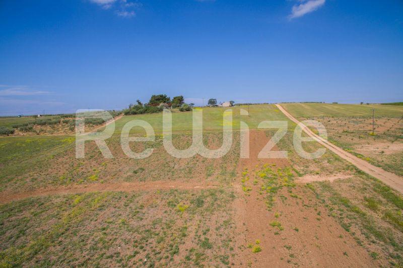 Photo 5,Landscape,SALE,Land,Field,7500sqm,€45,000,Nea Silata