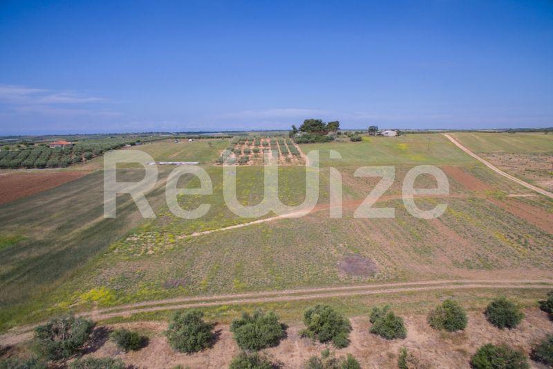 Photo 7,Landscape,SALE,Land,Field,7500sqm,€45,000,Nea Silata