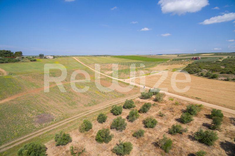 Photo 8,Landscape,SALE,Land,Field,7500sqm,€45,000,Nea Silata