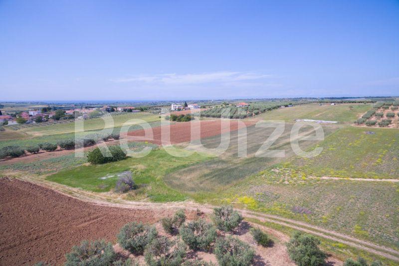 Photo 9,Landscape,SALE,Land,Field,7500sqm,€45,000,Nea Silata