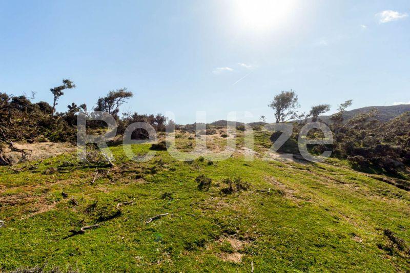 Photo 15,Outside,SALE,Land,Plot,500sqm,€55,000,Kriaritsi