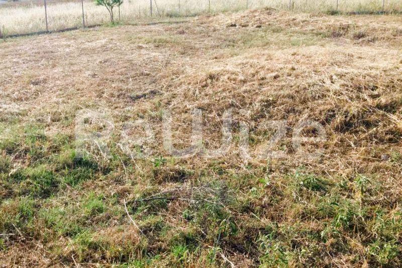 Photo 10,Εξωτερική,ΠΏΛΗΣΗ,Γη,Οικόπεδο,1811τ.μ,€90,000,Λάκκωμα