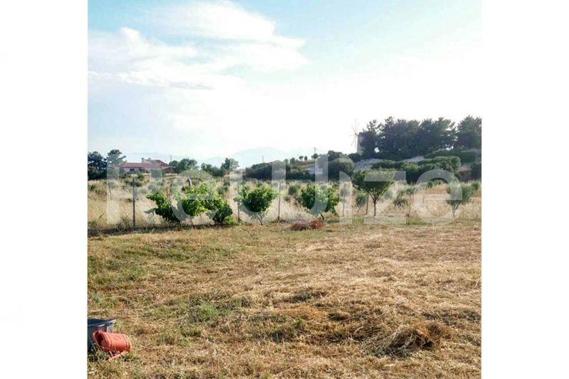 Photo 1,Εξωτερική,ΠΏΛΗΣΗ,Γη,Οικόπεδο,1811τ.μ,€90,000,Λάκκωμα