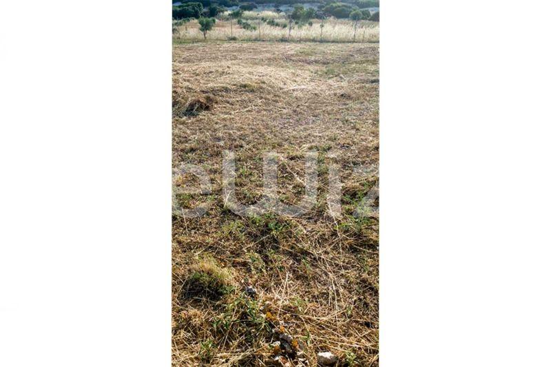 Photo 8,Εξωτερική,ΠΏΛΗΣΗ,Γη,Οικόπεδο,1811τ.μ,€90,000,Λάκκωμα