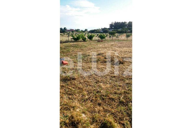 Photo 2,Εξωτερική,ΠΏΛΗΣΗ,Γη,Οικόπεδο,1811τ.μ,€90,000,Λάκκωμα