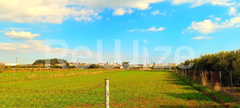Photo 1,Outside,SALE,Land,Field,2128sqm,€85,000,Nea Plagia