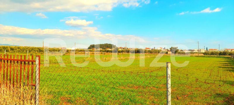Photo 2,Outside,SALE,Land,Field,2128sqm,€85,000,Nea Plagia