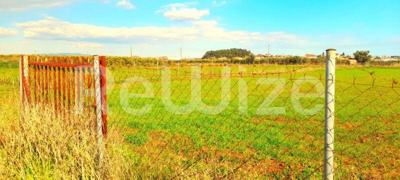 Photo 5,Outside,SALE,Land,Field,2128sqm,€85,000,Nea Plagia