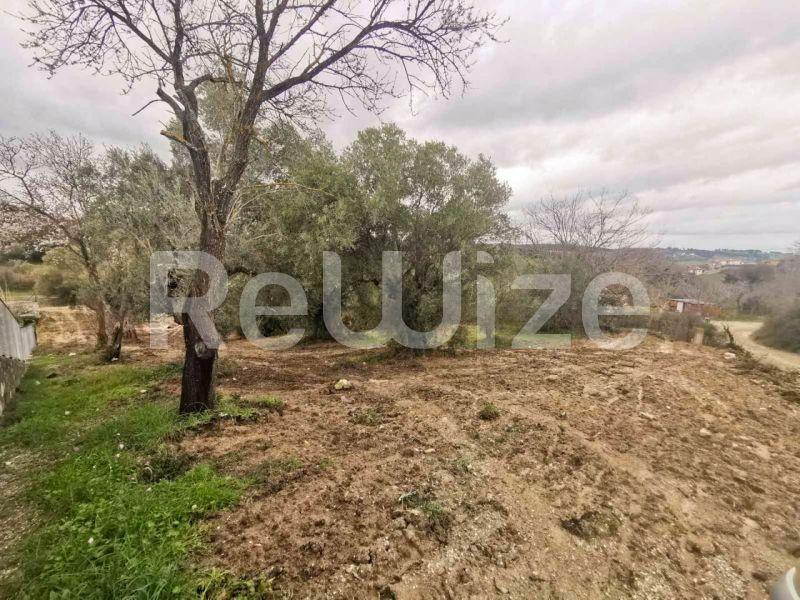 Photo 2,Outside,SALE,Land,Field,2108sqm,€25,000,Kassandreia
