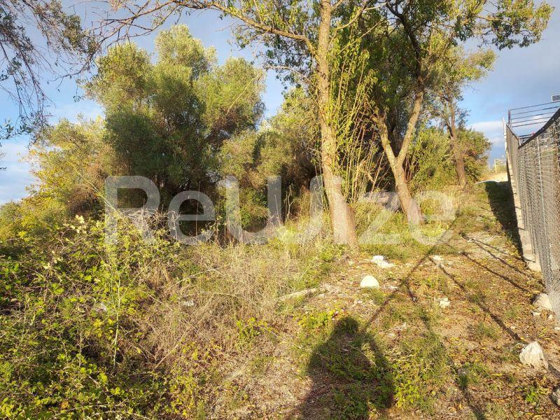 Photo 4,Outside,SALE,Land,Field,2108sqm,€25,000,Kassandreia