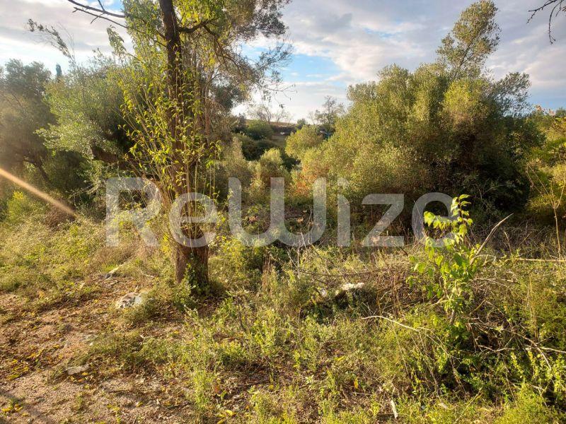 Photo 1,Outside,SALE,Land,Field,2108sqm,€25,000,Kassandreia