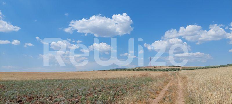 Photo 4,Τοπίο,ΠΏΛΗΣΗ,Γη,Αγροτεμάχιο,24000τ.μ,€190,000,Νέα Τρίγλια