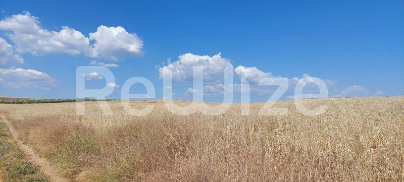 Photo 6,Τοπίο,ΠΏΛΗΣΗ,Γη,Αγροτεμάχιο,24000τ.μ,€190,000,Νέα Τρίγλια