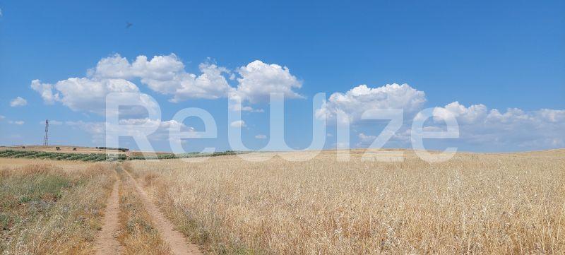 Photo 3,Τοπίο,ΠΏΛΗΣΗ,Γη,Αγροτεμάχιο,24000τ.μ,€190,000,Νέα Τρίγλια