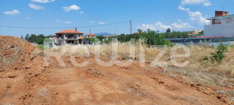 Photo 6,Landscape,SALE,Land,Plot,1160sqm,€100,000,Portaria