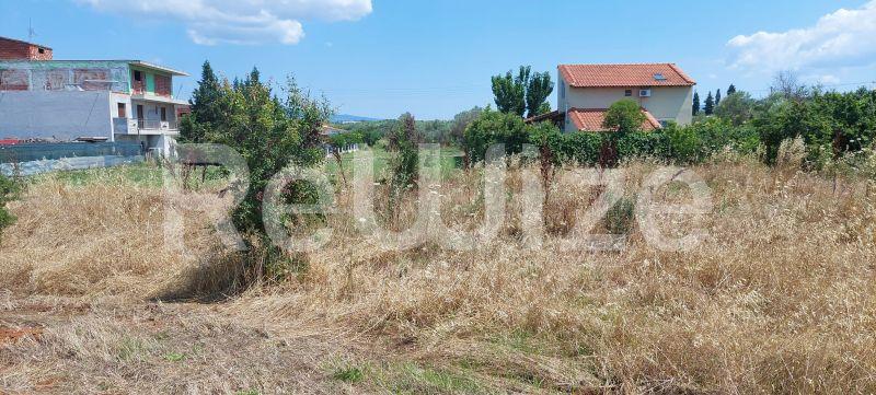 Photo 7,Landscape,SALE,Land,Plot,1160sqm,€100,000,Portaria