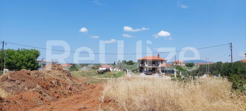 Photo 8,Landscape,SALE,Land,Plot,1160sqm,€100,000,Portaria